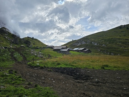 alpagelavare (3)