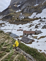 40 jours avant l'ouverture de l'Alpage
