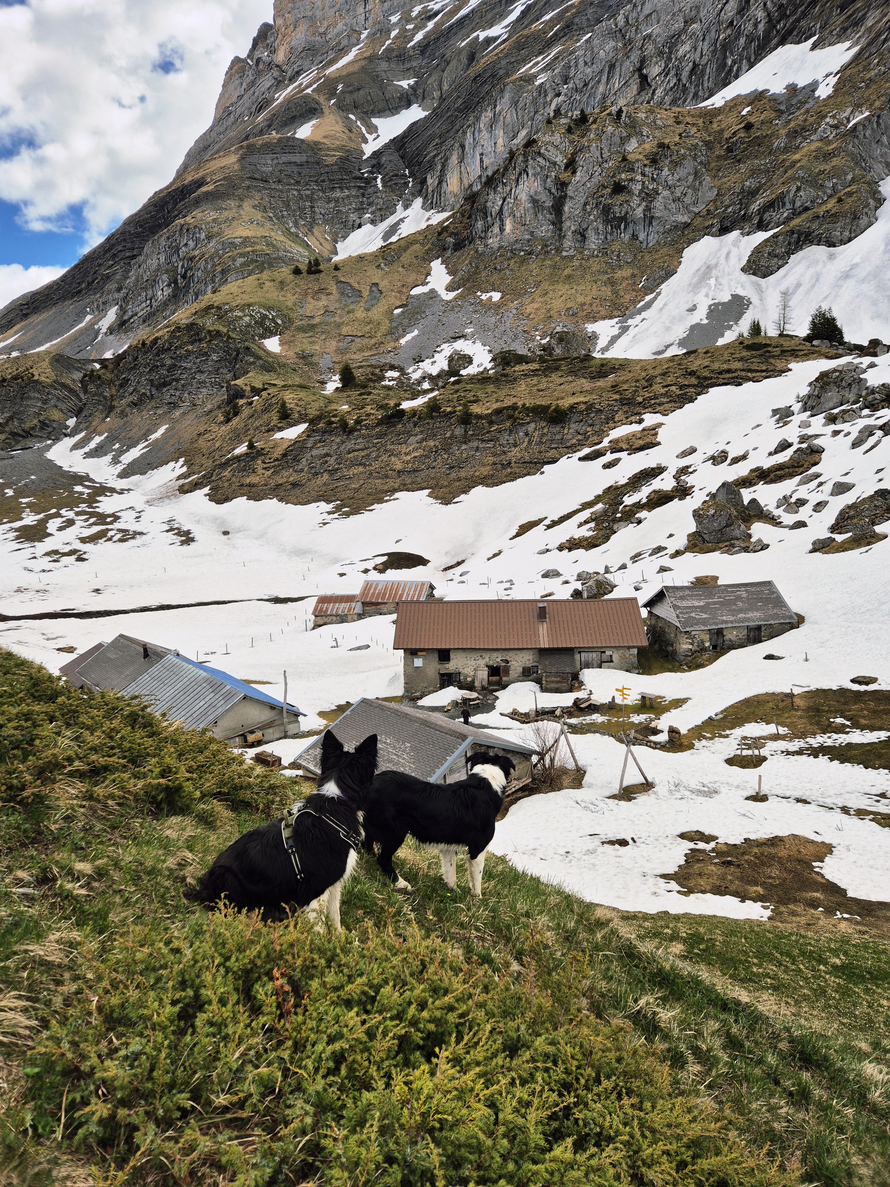 40 jours avant l'ouverture de l'Alpage